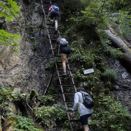Hikers Paradise High Tatras Vandrarhem Štrbské Pleso